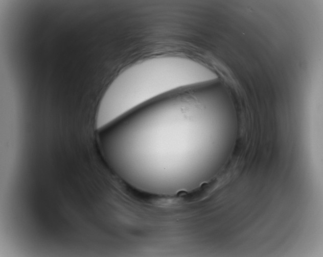 X0000099970465200805231005