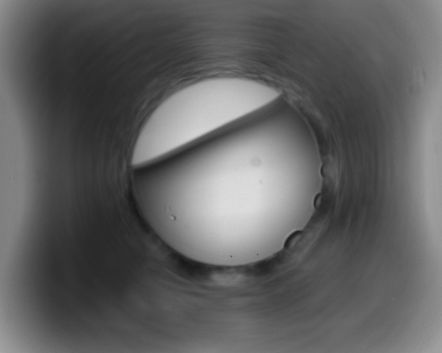 X0000099970470200805231006