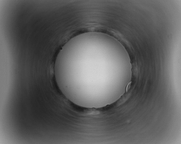 X0000099970471200805231006