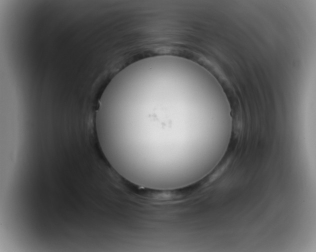 X0000099970473200805231006