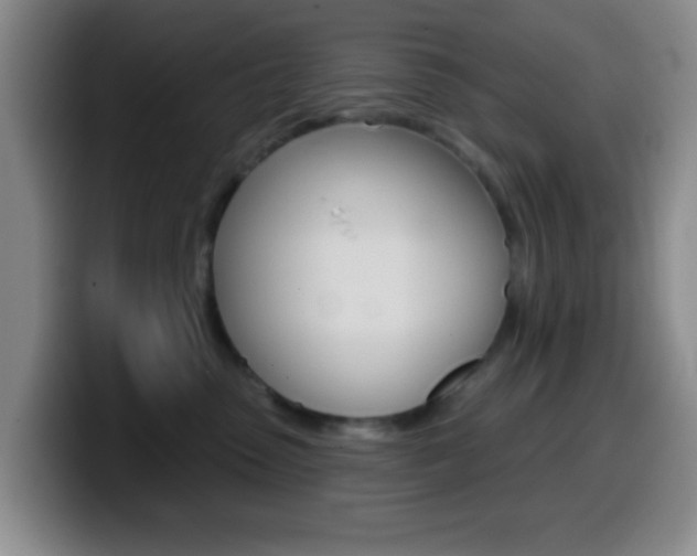 X0000099970475200805231006
