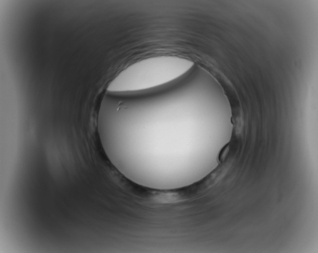 X0000099970476200805231006