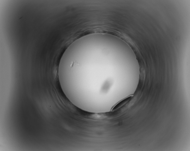 X0000099970477200805231006