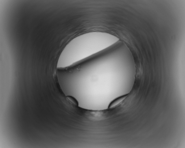 X0000099970478200805231006