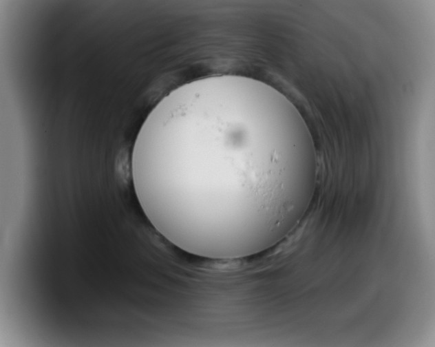 X0000099970479200805231006
