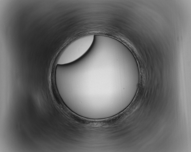 X0000099970482200805231005