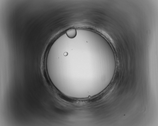 X0000099970487200805231005