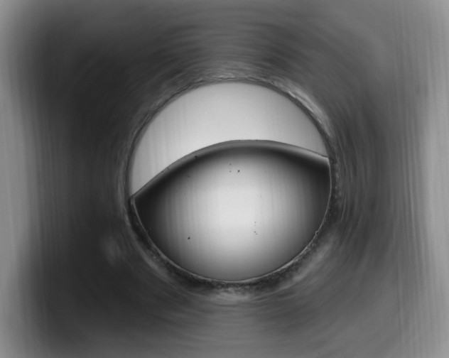 X0000099970489200805231005