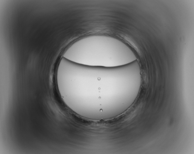 X0000099970491200805231005
