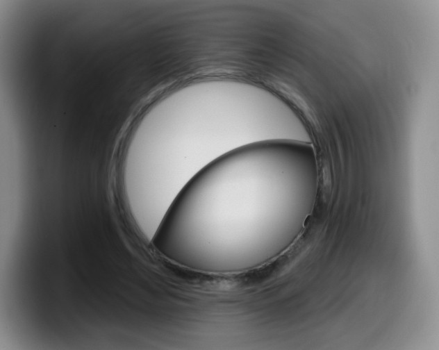 X0000099970492200805231005