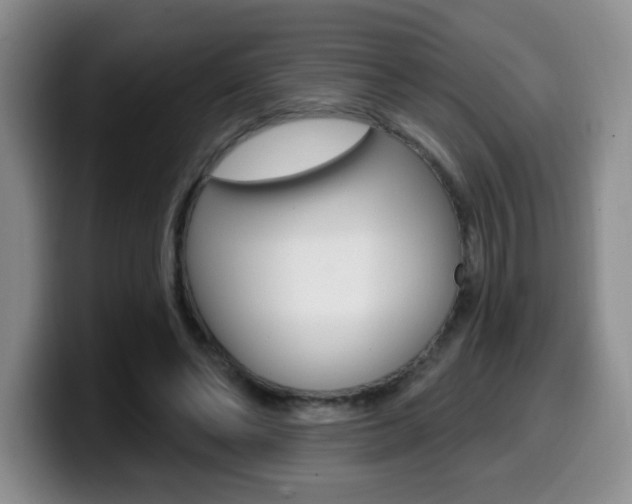 X0000099970494200805231005