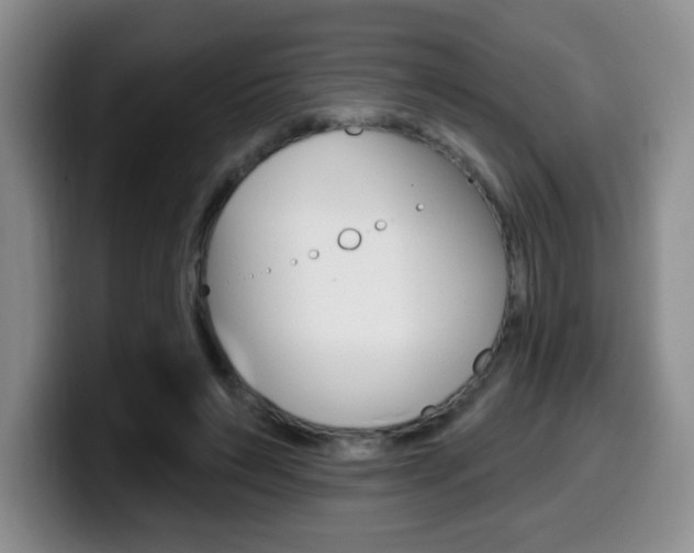 X0000099970495200805231005