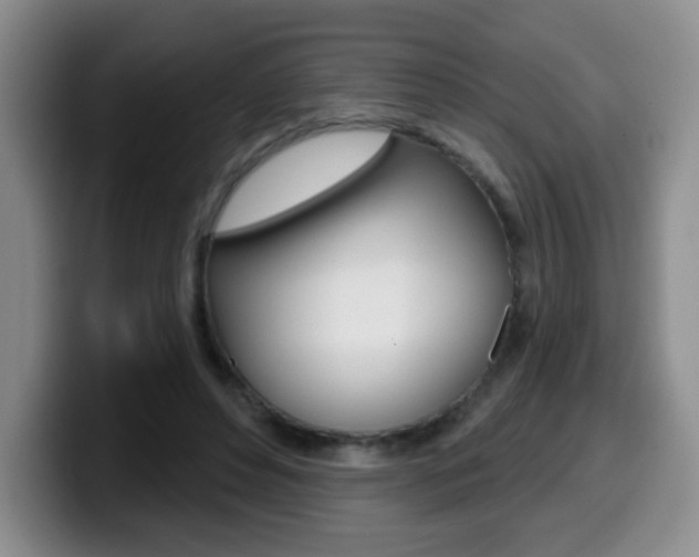 X0000099970496200805231005