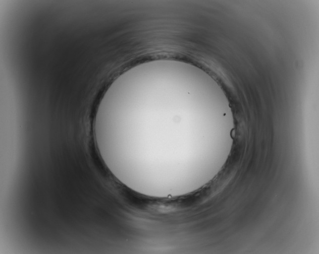 X0000099970498200805231005