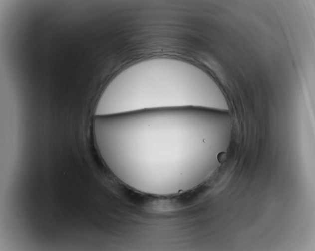 X0000099970499200805231005