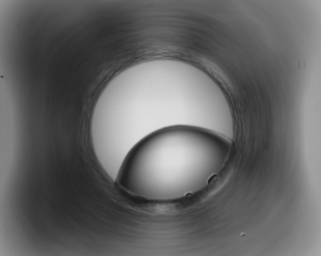 X0000099970501200805231005