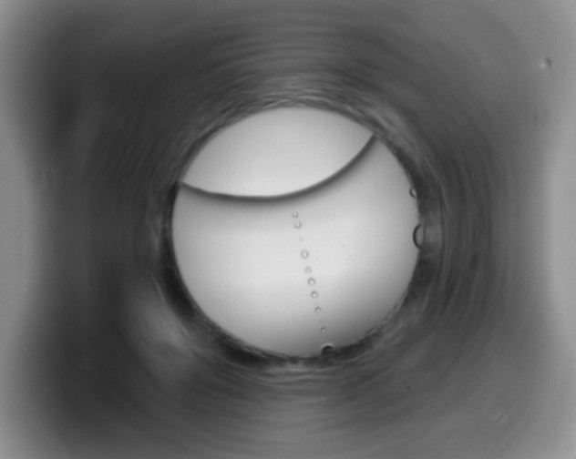X0000099970503200805231005