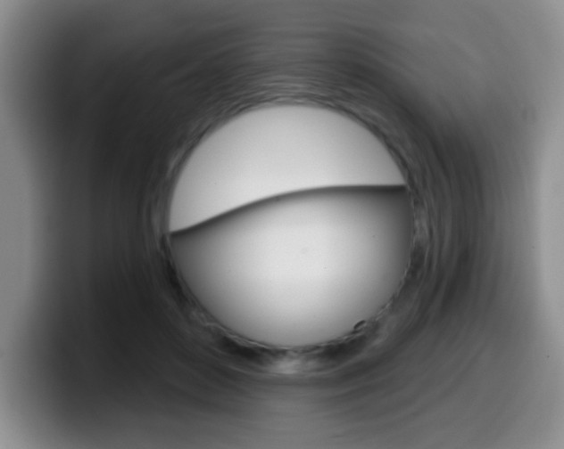 X0000099970504200805231005