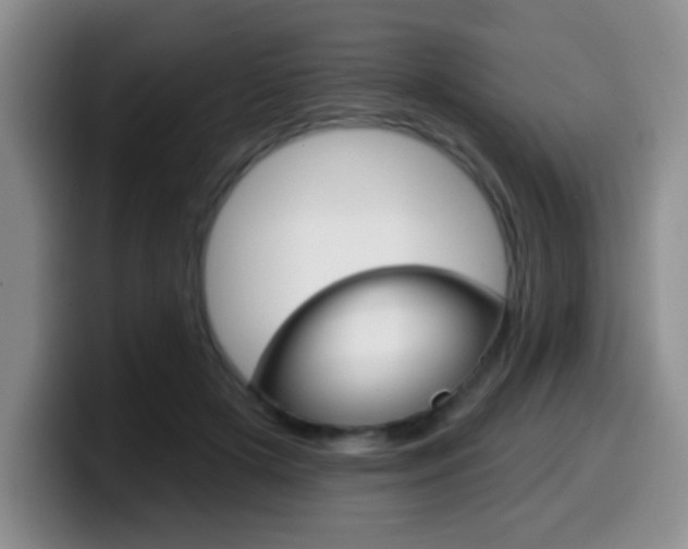 X0000099970505200805231005