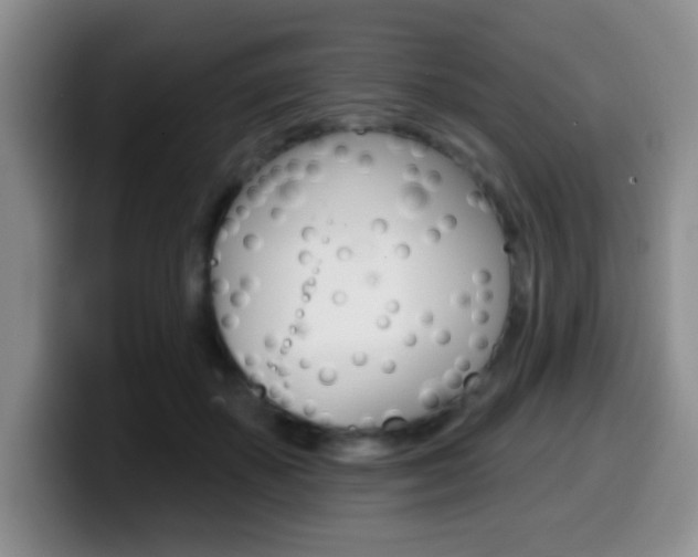 X0000099970507200805231005