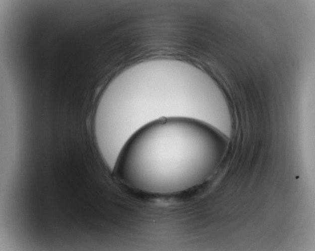 X0000099970508200805231005