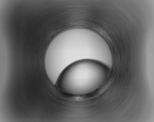 X0000099970509200805231005
