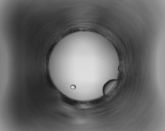 X0000099970510200805231005