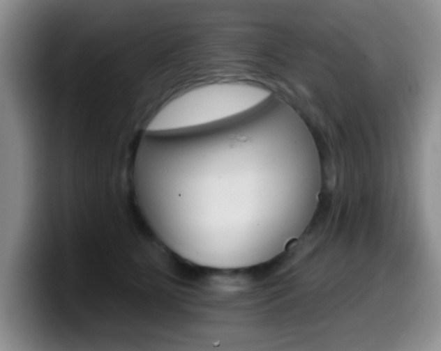 X0000099970515200805231005