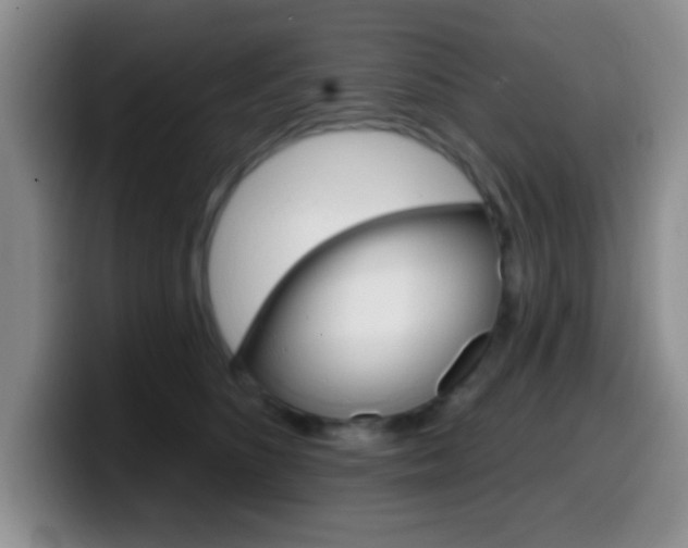 X0000099970516200805231005
