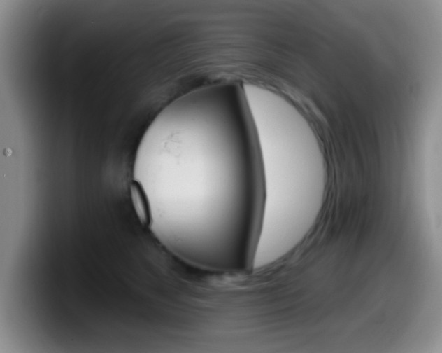 X0000099970517200805231005