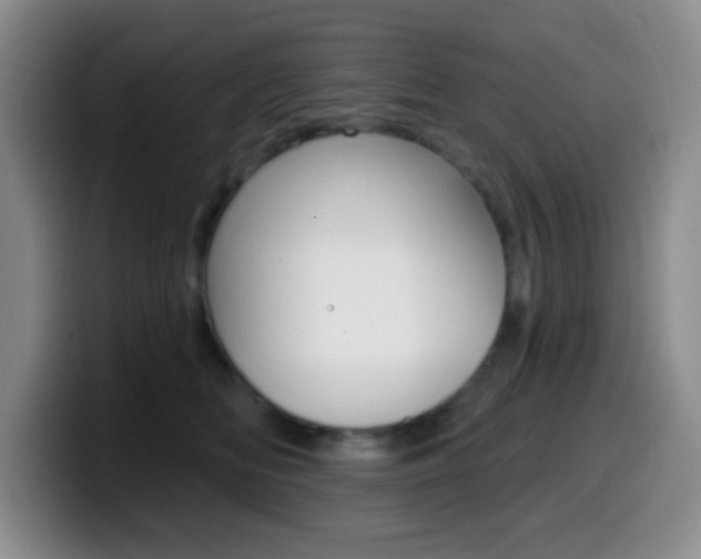 X0000099970518200805231004