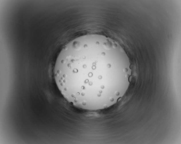 X0000099970519200805231004