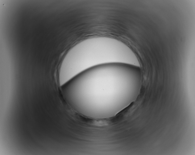 X0000099970520200805231004