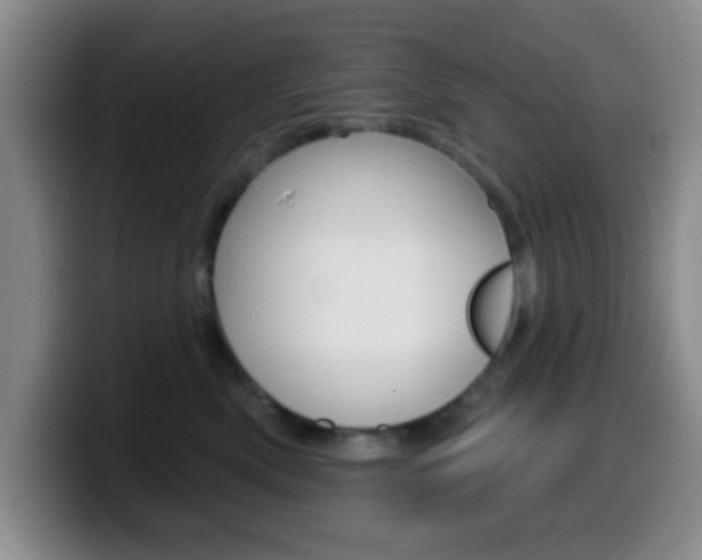 X0000099970522200805231004