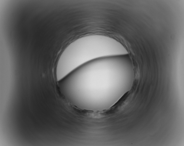X0000099970524200805231004