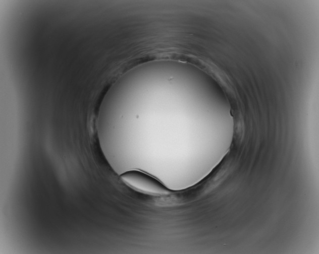 X0000099970525200805231004