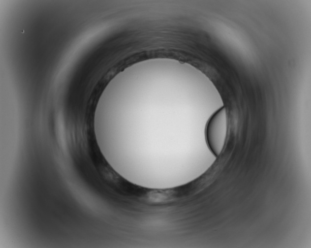X0000099970526200805231004
