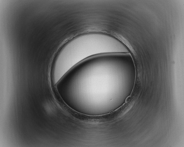 X0000099970530200805231004