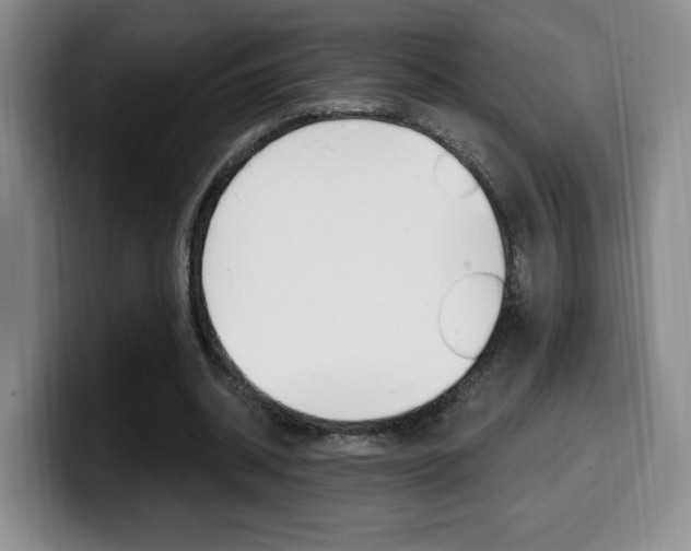 X0000099970534200805231004
