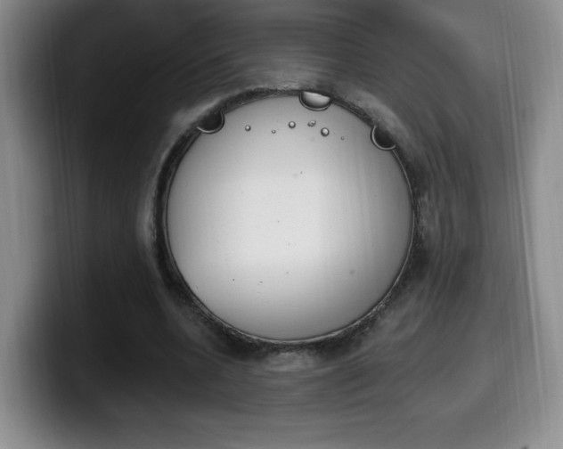 X0000099970536200805231004