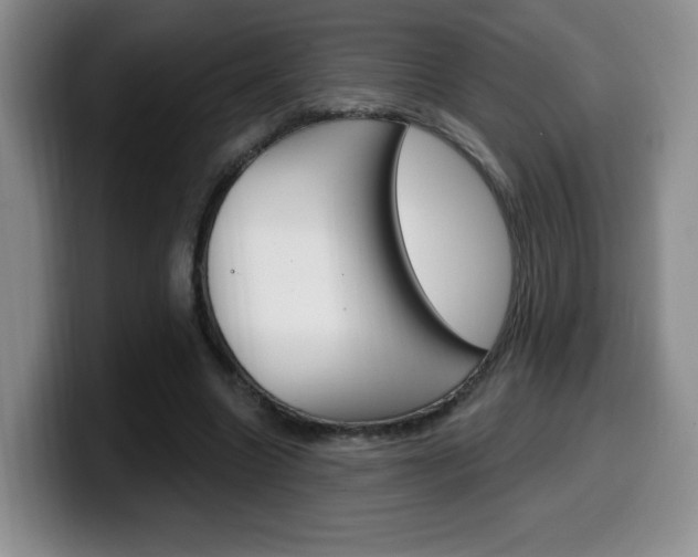 X0000099970538200805231004