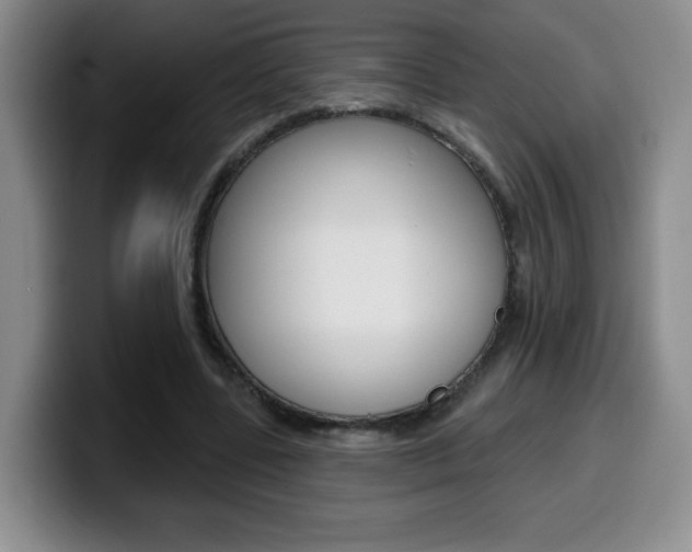 X0000099970539200805231004