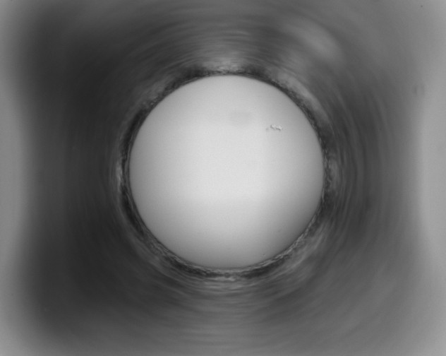 X0000099970541200805231004