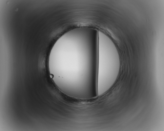 X0000099970543200805231004