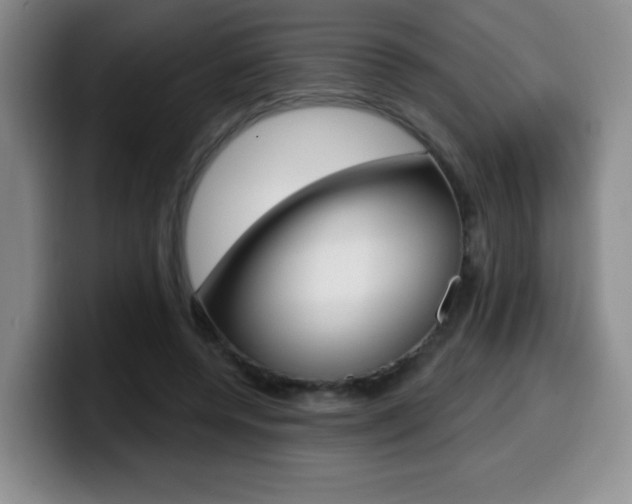 X0000099970544200805231004