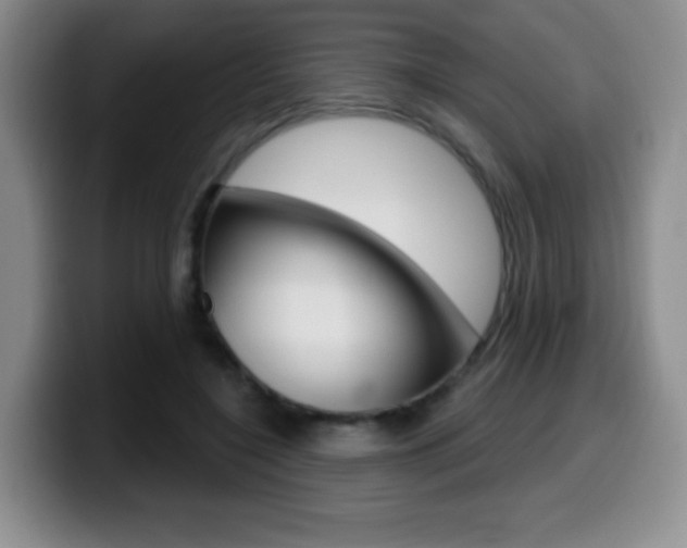 X0000099970548200805231004