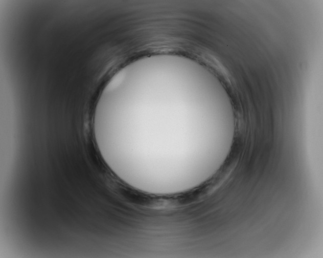 X0000099970549200805231004