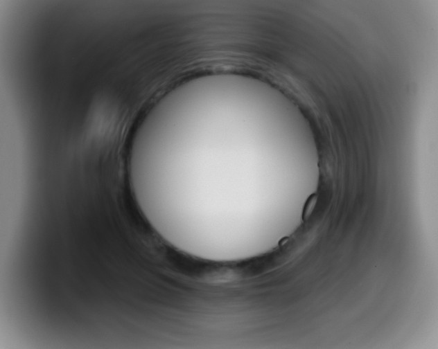 X0000099970551200805231004