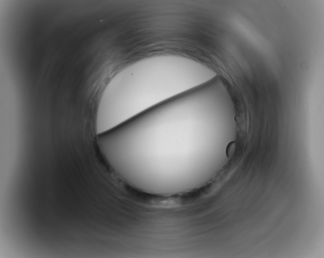 X0000099970553200805231004