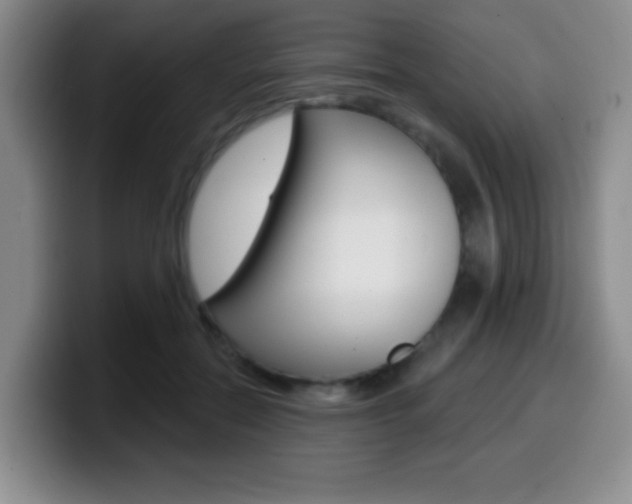 X0000099970554200805231004